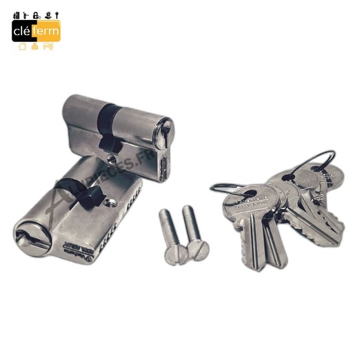 [N83100730X30] CYL.EURO JPM CISA 30X30 DE SUR PG/PP - 3 CLES