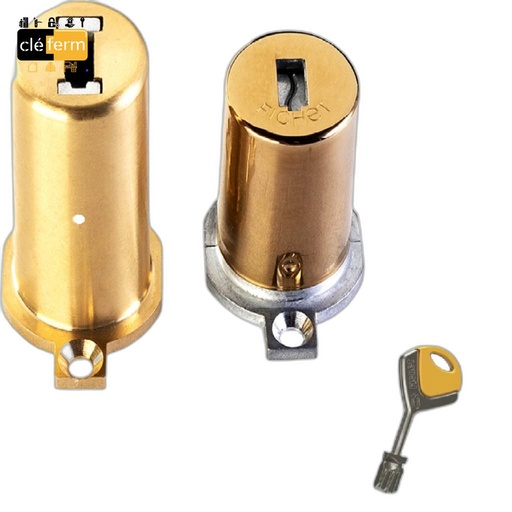 [N75360] JEU DE CYL. ADAPT.EXPER T POUR FICHET 787 34/60mm - 4 CLES