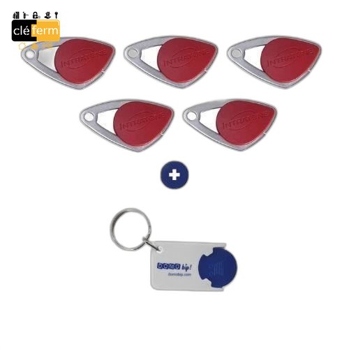 [N6014115] LOT DE 5 BADGES MIFARE