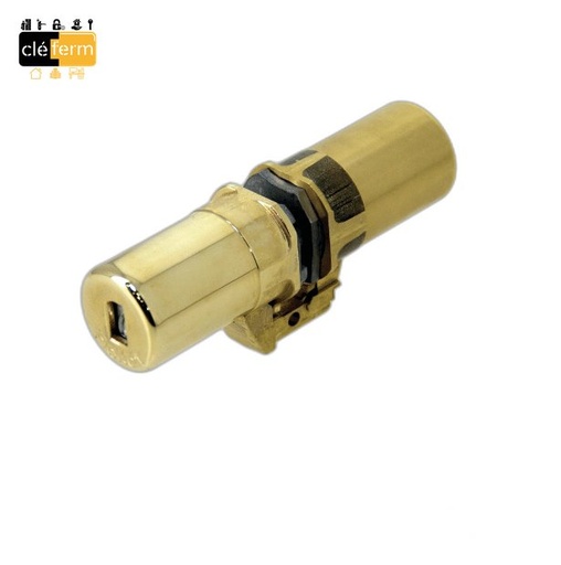 [NCYC787] CYLINDRE CYC ADAPTABLE FICHET 787