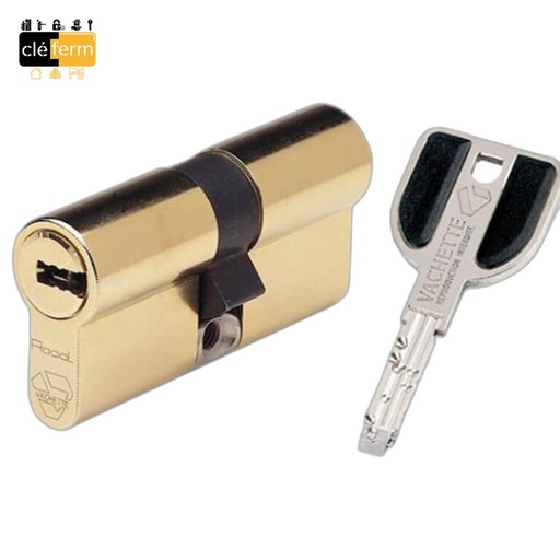 [N88AM45] BLOC CYLINDRE POUR SERRURE 8000 45mm RADIALIS - 4 CLES