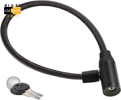 [ASS60] Clé acier pour cadenas vélo Assa ASS60