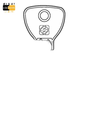 [BD9R] Clé serrurerie compatible Bricard (réf BD9R)