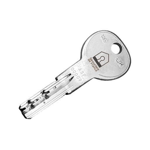 [MC280010] Clé Serruriers de France® R6 SPI sur numéro