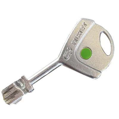 [C20FT9] Clé Fichet 787M