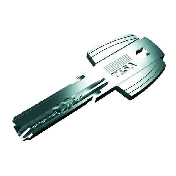 [C20TS2] Clé Tesa Yale T60