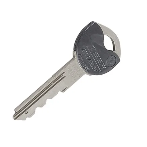 [C20TS20] Clé Tesa Yale TK6 PASSE